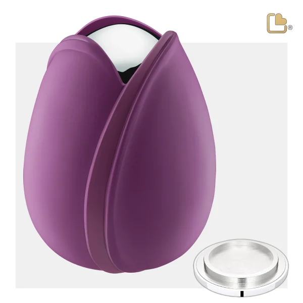 Tulip™ Purple - Afbeelding 4