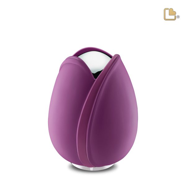 Tulip™ Purple - Afbeelding 5